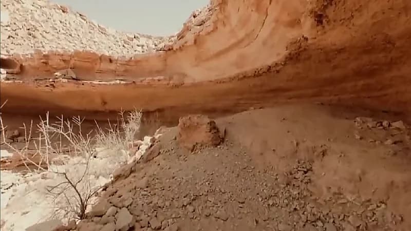 بالفيديو.. تجمد حيوانات بسبب البرد الشديد
