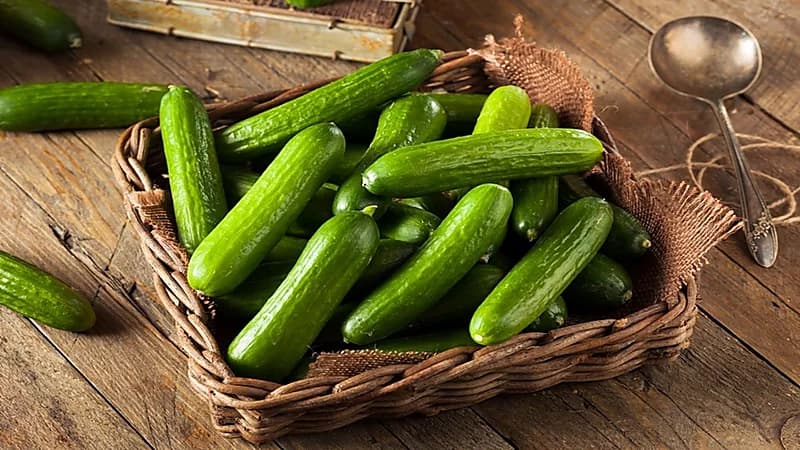 أبرز الفوائد الصحية لتناول الخيار