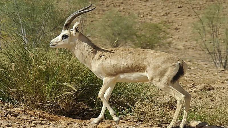 دراسة : النوم السئ يزيد خطر الإصابة بأمراض القلب 3 أضعاف