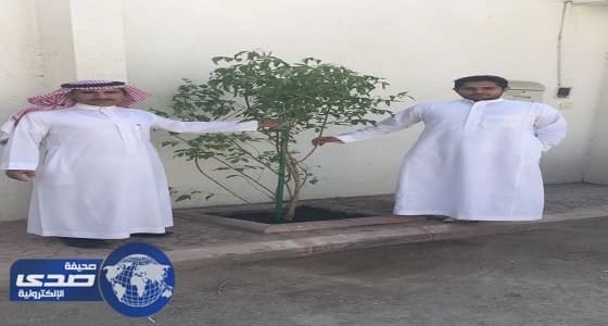 بالصور.. سكان الرياض يتفاعلون مع برنامج الأمانة البيئي " شجرة لكل مبنى "
