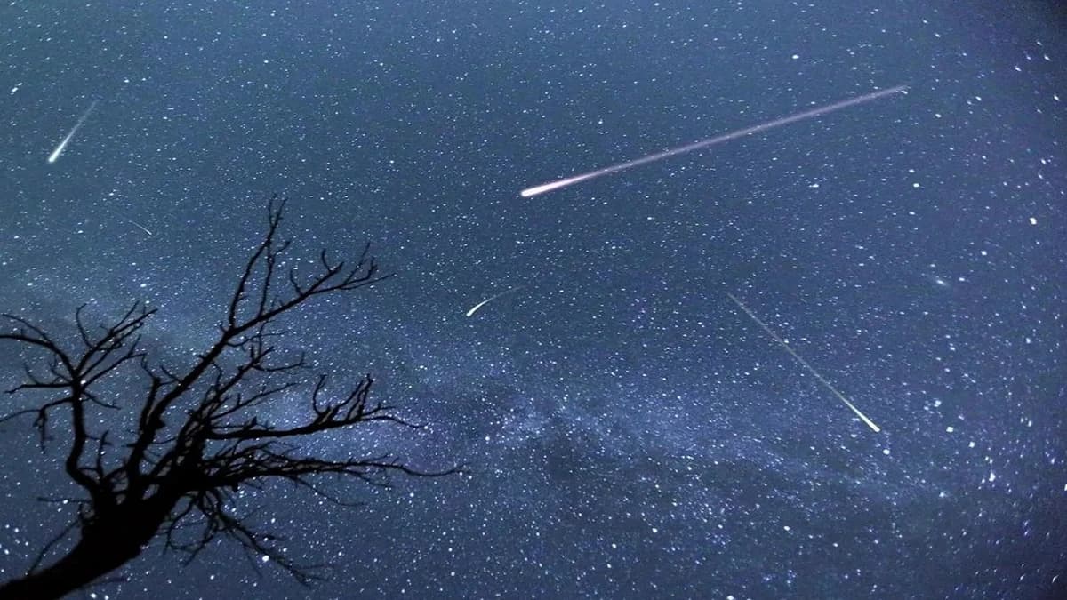 سماء المملكة تشهد ذروة زخة شهب الثوريات مساء اليوم