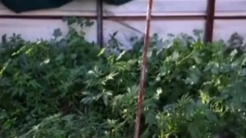 مفاجأة خطيرة بشأن فيروس كورونا