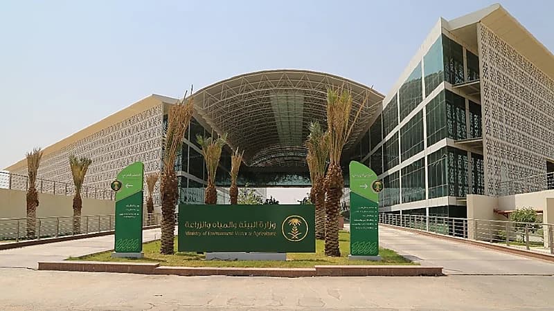 "البيئة" تطلق خدمتي إذن الدخول والخروج للهجن المشاركة في المسابقات عبر "أنعام بلس"