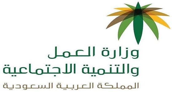 " العمل " تكشف عن إمكانية تقديم إعانة مالية للمصابين بتشوهات شديدة