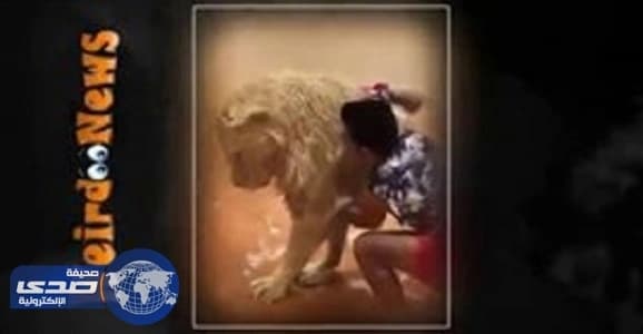 الشورى يناقش تعديل قانون التحرش بعد قيادة المرأة للسيارة