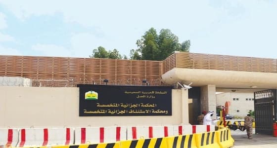 المحكمة الجزائية تقضي بالسجن 10 سنوات ليمني منتم لتنظيم القاعدة
