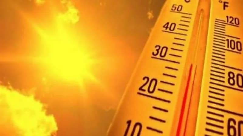 المسند: الدمام تسجل أعلى درجة حرارة ويليها القيصومة