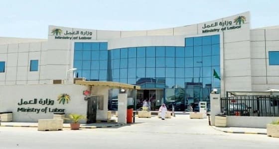 وزارة العمل توفر فرص عمل لمستفيدي الضمان الاجتماعي