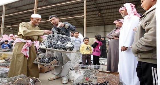 بالفيديو.. رصد إصابات بفيروس إنفلونزا الطيور في سوق العزيزية بالرياض