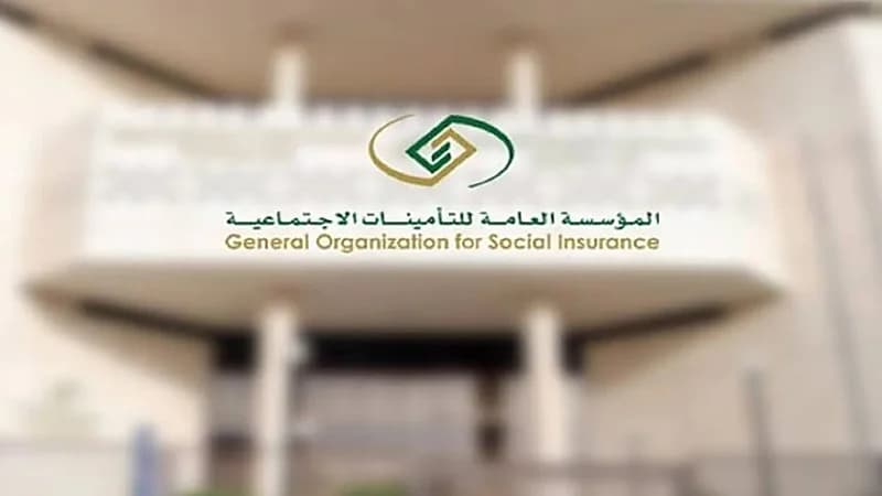 "التأمينات الاجتماعية": أكثر من 1.5 مليون زائر للبوابة الإلكترونية خلال نوفمبر