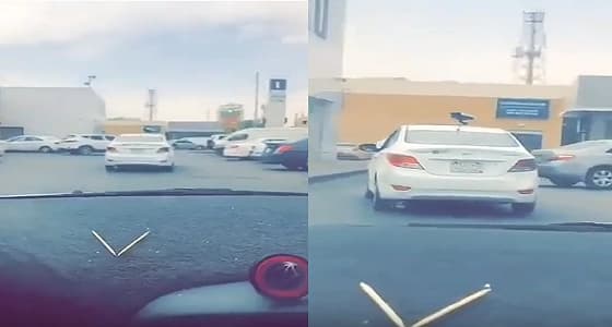 بالفيديو.. مواطن يعثر على نقود كويتية في بطن " ضب "