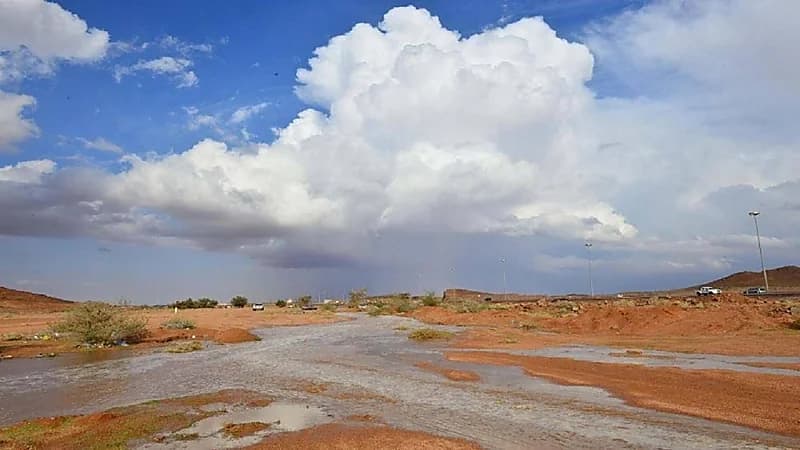 حالة الطقس المتوقعة غد "الجمعة" في المملكة
