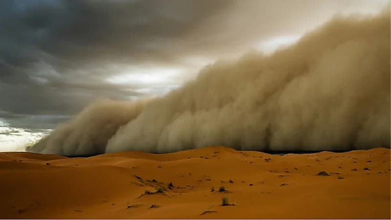 الدفاع المدني يحذر من عواصف رملية على المنطقة الشرقية