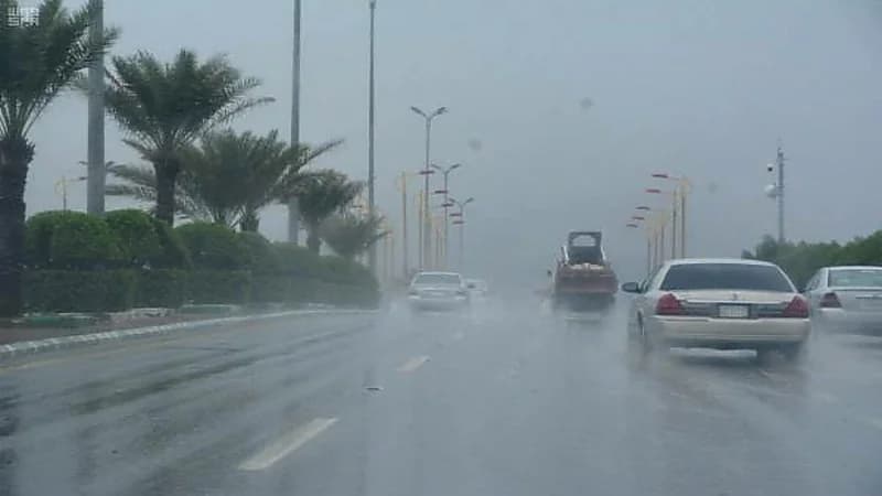 الأرصاد: هطول أمطار مصحوبة برياح نشطة وزخات من البرد على عدة مناطق 