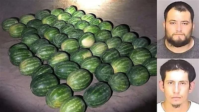 القبض على شخصين سرقوا 57 بطيخة من مزرعة