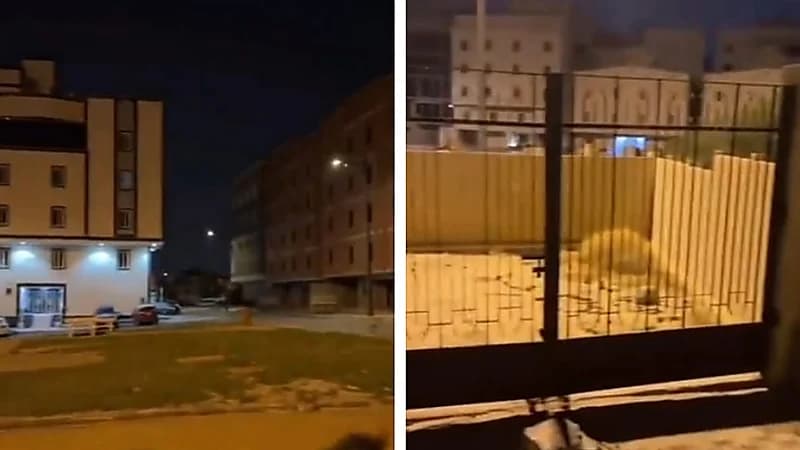 مقبرة فى منتصف إحدى حدائق مكة المكرمة .. فيديو