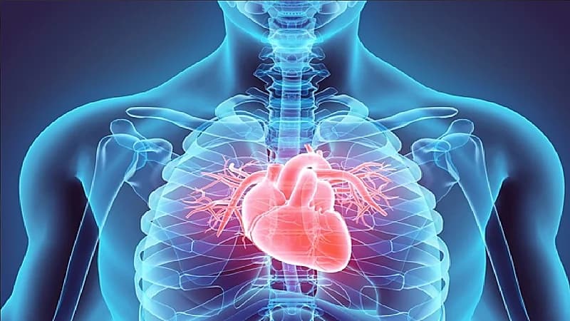 النمر : تخطيط القلب الطبيعي لا يستبعد الجلطة