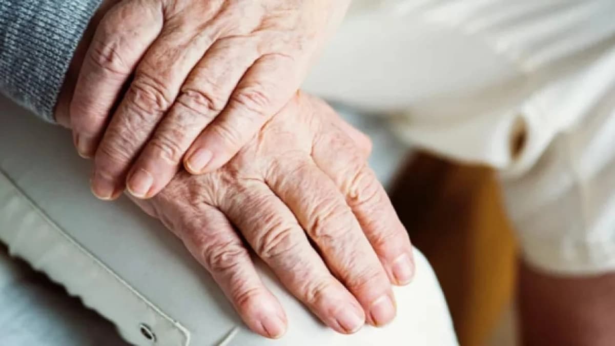 WhatsApp Image 2025-11-04 at 8.13.17 PM.jpeg