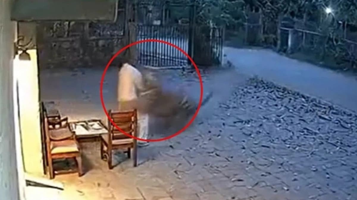 WhatsApp Image 2025-11-08 at 4.55.28 PM.jpeg