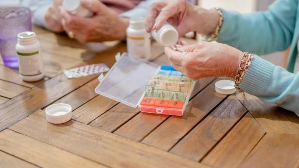 WhatsApp Image 2025-11-11 at 10.04.51 PM.jpeg