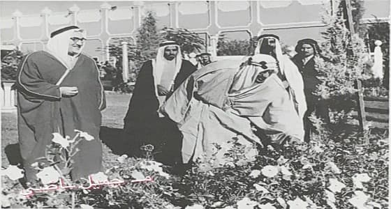 صورة نادرة لـ " الملك سعود " بقصر الناصرية في الرياض