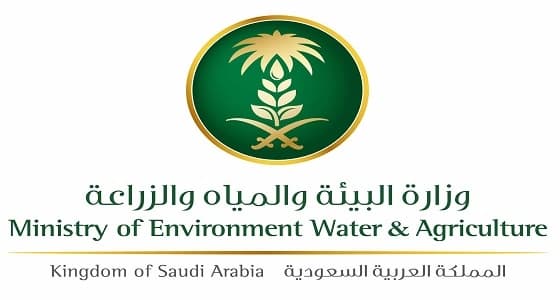 البيئة: أصدرنا مخالفات للنظام بحق 39 مشروعا للدواجن فقط