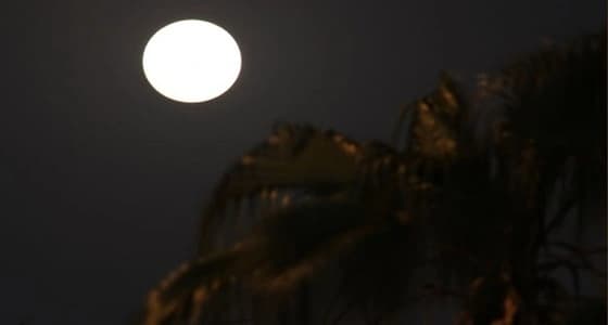 شاهد.. البدر العملاق يزين سماء جدة