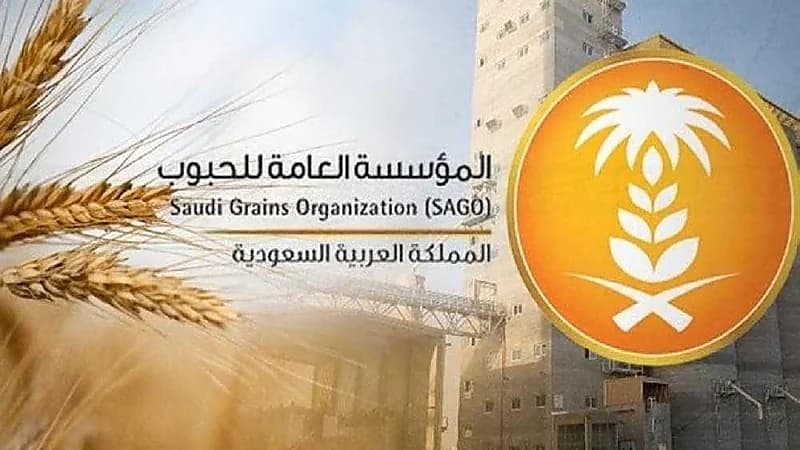 "العامة للحبوب" تصرف مستحقات الدفعة الثامنة لمزارعي القمح المحلي