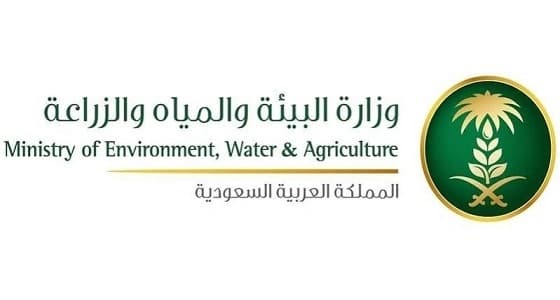 غدا.. " البيئة " تبدأ عمليات الرش الجوي للمستنقعات بالمدينة المنورة