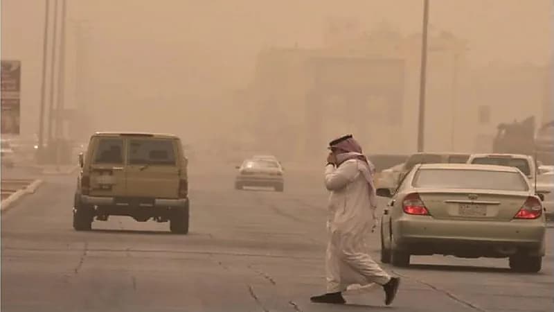 هل الغبار مفيد صحيًا؟.."النمر" يجيب