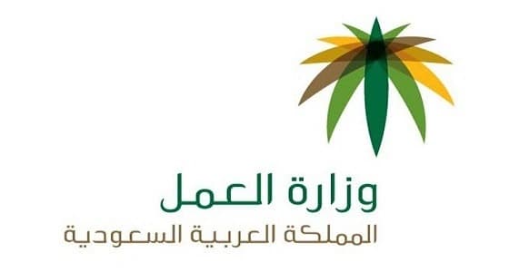 العمل تؤجل إطلاق الفاتورة المجمعة للمقابل المالي إلى 29 يناير