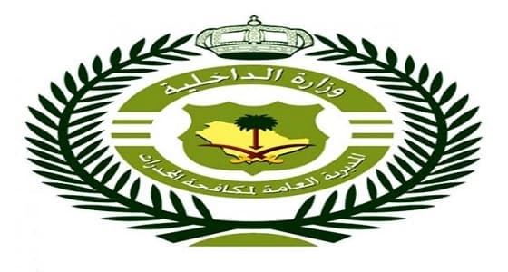 مكافحة المخدرات وجمارك الطائف تضبطان 76950 حبة محظورة