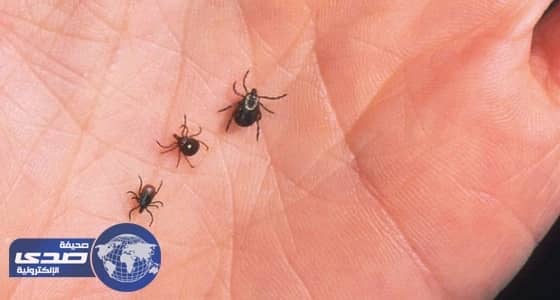 طرق علاج الأطفال من لدغ حشرة القراد