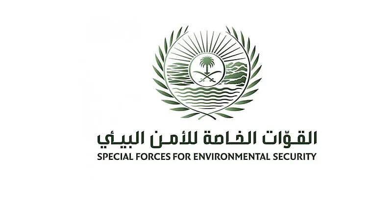ضبط 4 مخالفين لنظام البيئة لاتجارهم بكائنات فطرية في عسير