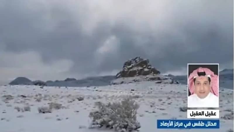 محلل طقس: درجة الحرارة في الرياض تصل إلى 9 درجات مئوية غدا "فيديو"