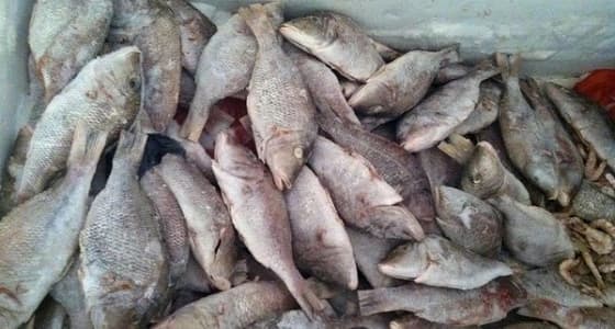 بلدية الشرائع الفرعية بمكة تضبط وتصادر أكثر من نصف طن مواد غذائية