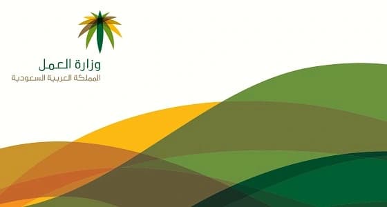 تقرير: تراجع نسبة العمالة الأجنبية بنسبة 1,7 %