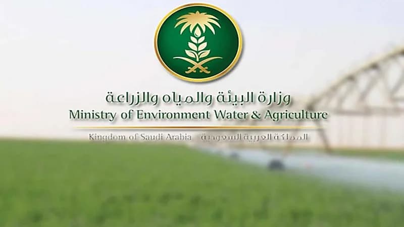 "البيئة" تطلق خدمة استيراد بذور التجارب للشركات والمؤسسات الزراعية
