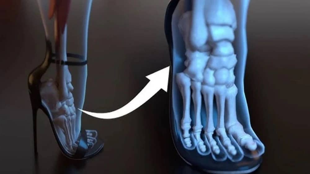 WhatsApp Image 2025-12-17 at 1.42.51 PM.jpeg