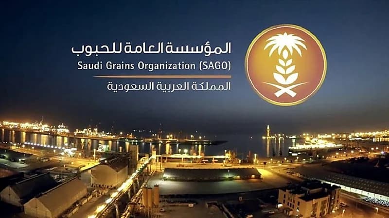 المؤسسة العامة للحبوب تطرح مناقصة لاستيراد 540 ألف طن شعير