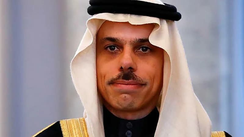 السر الحقيقي وراء زيارة الأمير فيصل بن فرحان للأردن