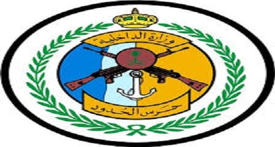 لجنة التحقيق: حرس الحدود قدم المساعدة لمواطن الفيديو