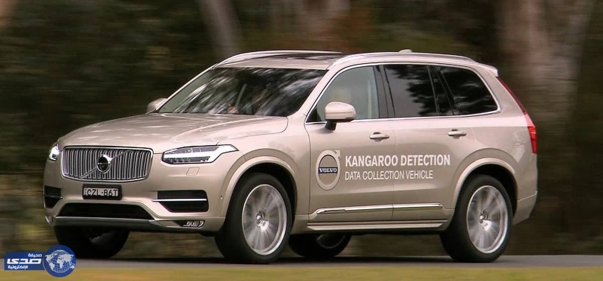بالفيديو والصور.. تقنية فولفو للقيادة الذاتية تواجه مشكلة بالتعرف على الكانجرو